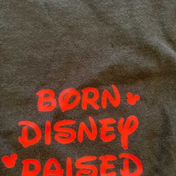 Disney Born Disney Raised Walt Life Colorblock Sweatshirt Large NWT - Picture 3 of 7